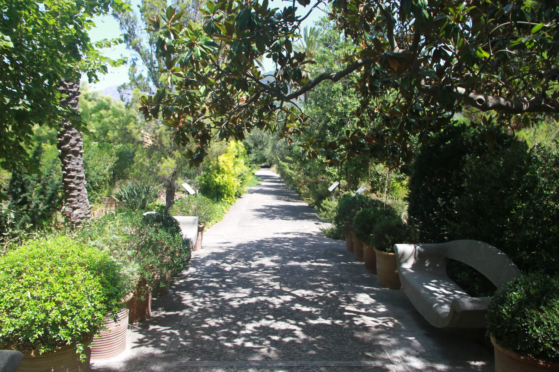 Jardí Botànic de Sóller IMG 4667