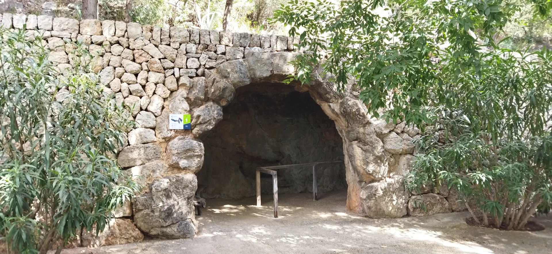 Coves Campanet 2022 55