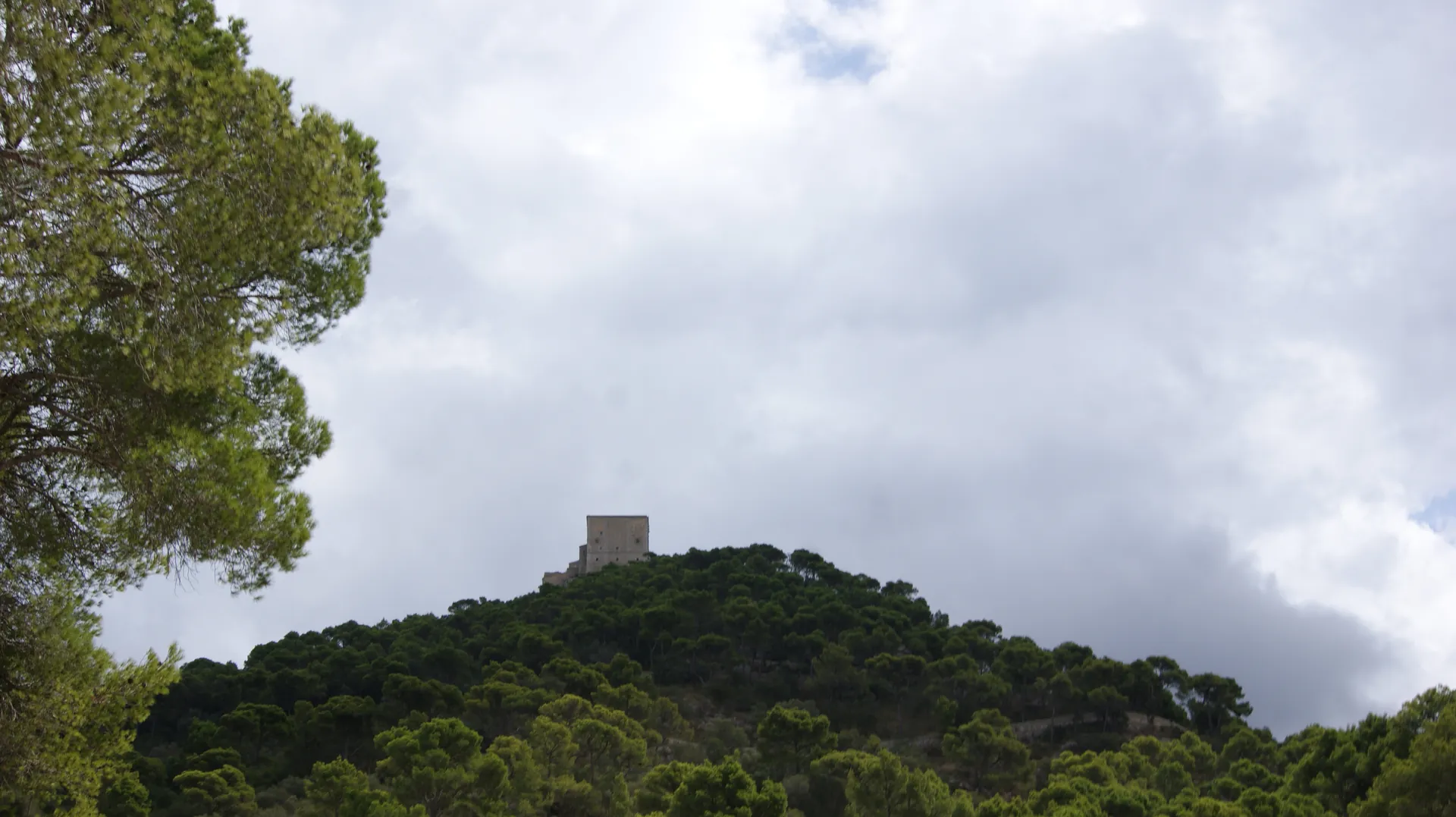 Mallorca-Sant Salvador-Puig de Sant Salvador-04