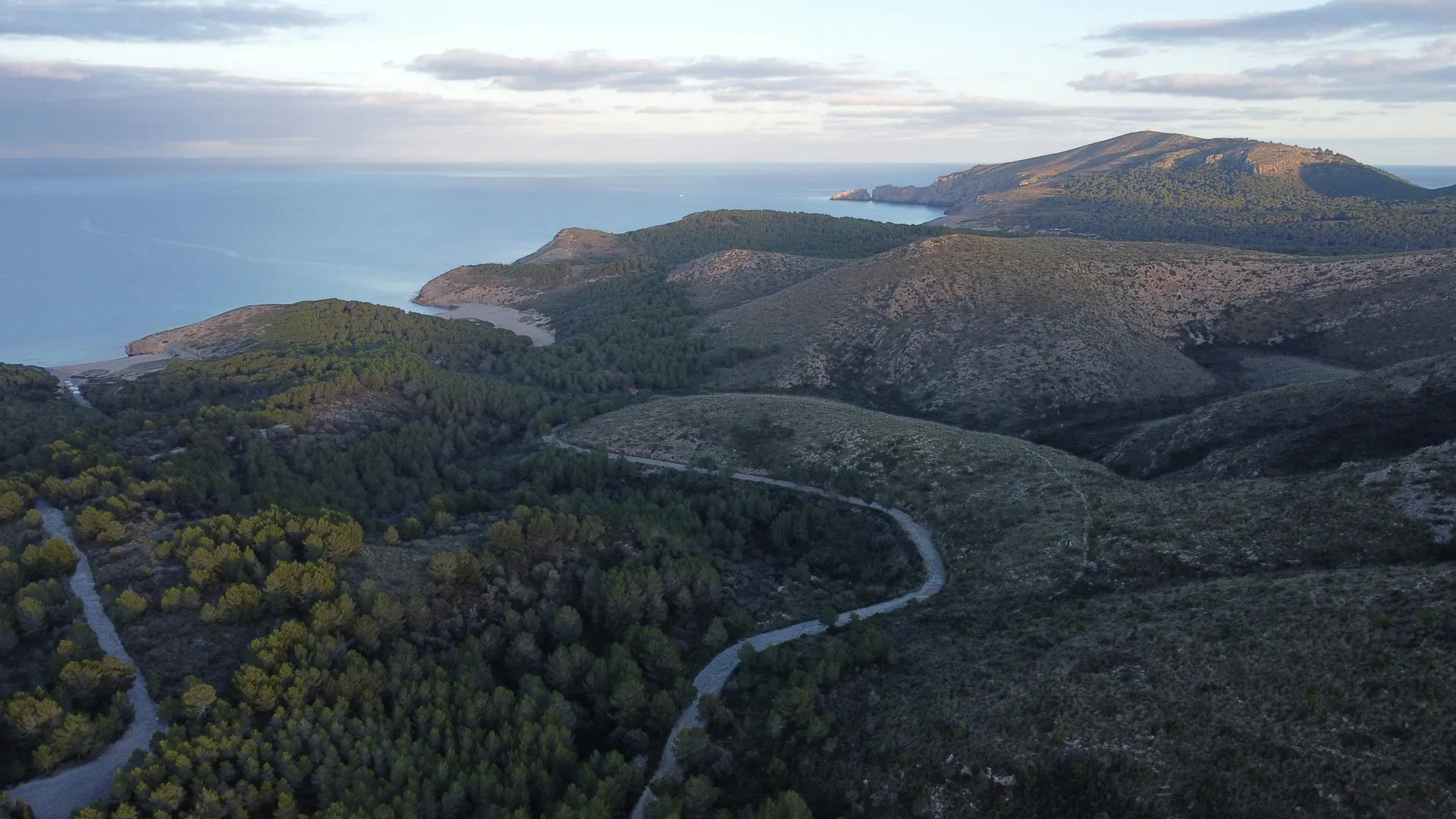Aerial view of the rugged coast and lush forests of Artà in Mallorca, Spain.
